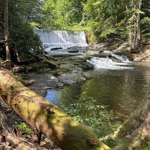 Meet your Posher, Leo